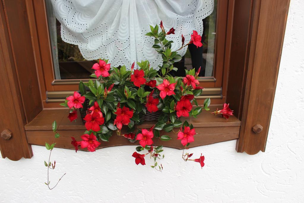 Haus Almrausch Hotel Seefeld in Tirol Habitación foto